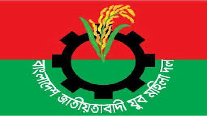 বাংলাদেশ জাতীয়তাবাদী মহিলা দলের লোগো। ছবি: সংগৃহীত